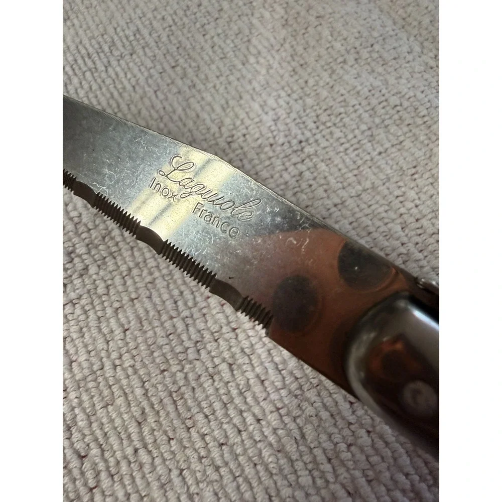 Set of 6 French Jean Dubost Laguiole steak knives plexiglass rainbow Vintage
